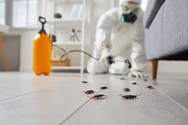 Commercial Kitchen Cockroach Control in Holts Summit